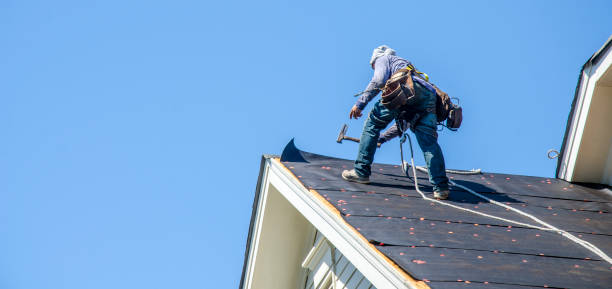 Best Roof Gutter Cleaning  in Verona, VA